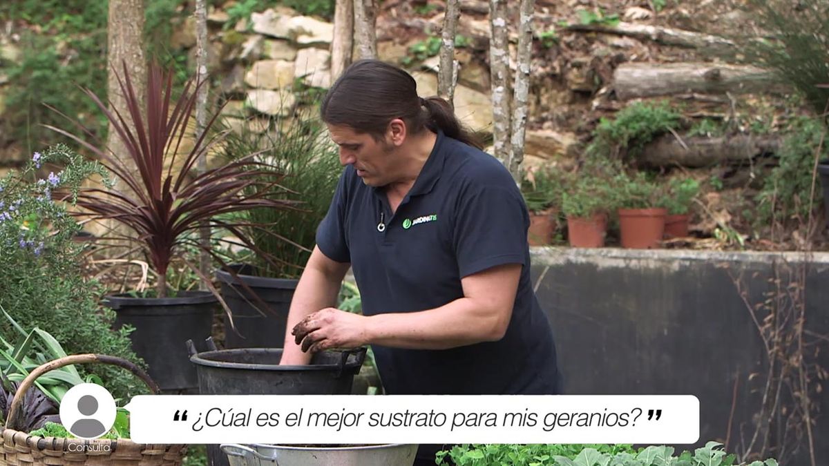 brico 1013 briconsulta sustrato geranios xl