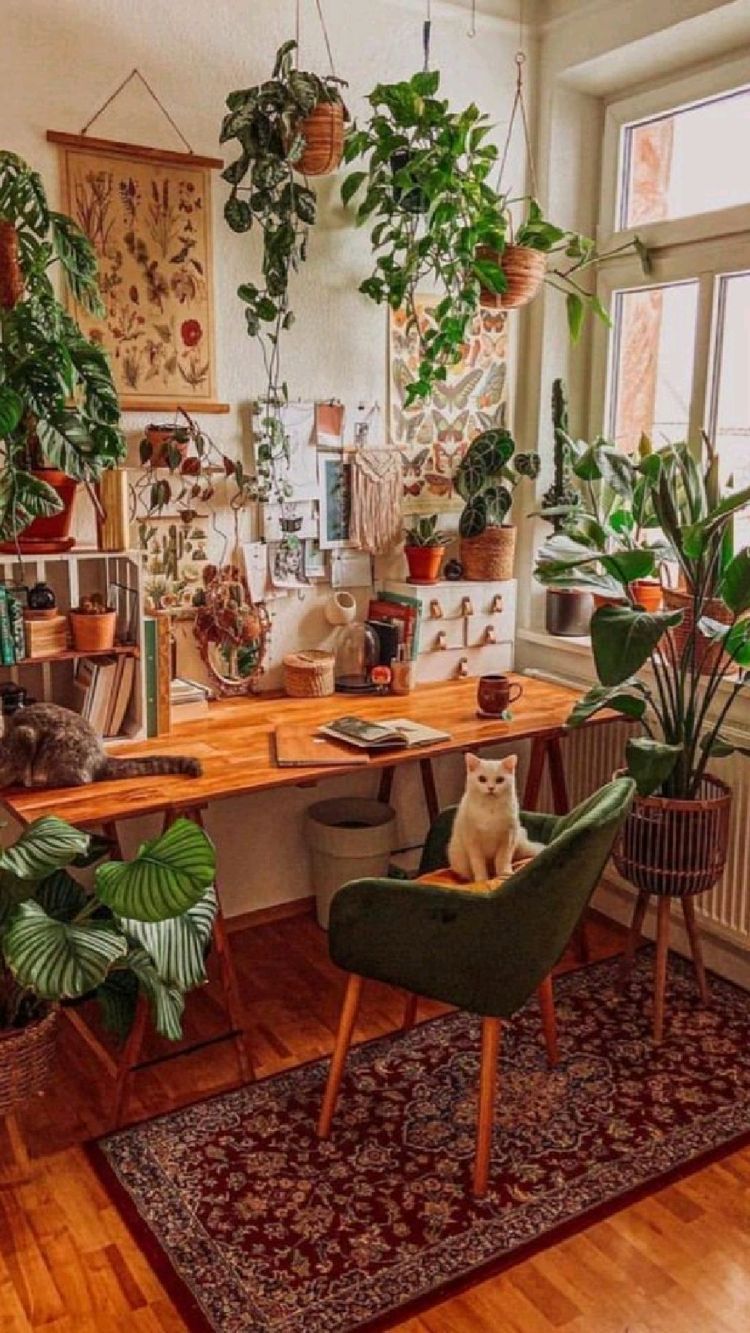 urban jungle estudio