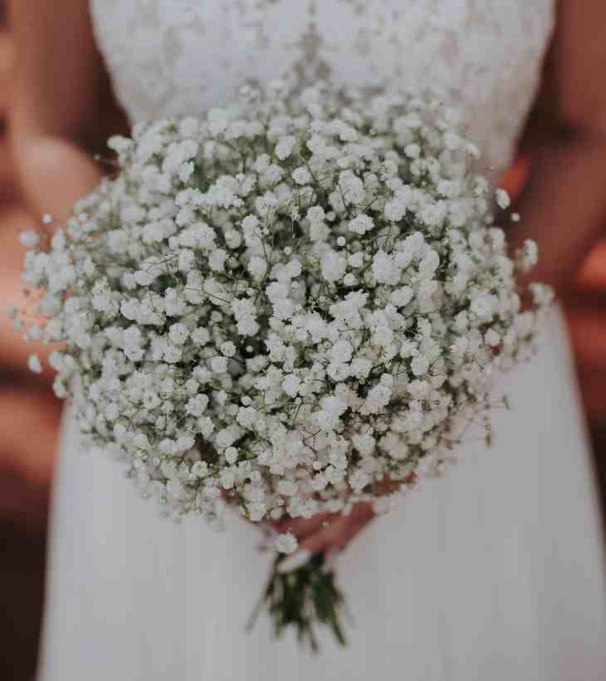 ramos novia sencillo oaniculata