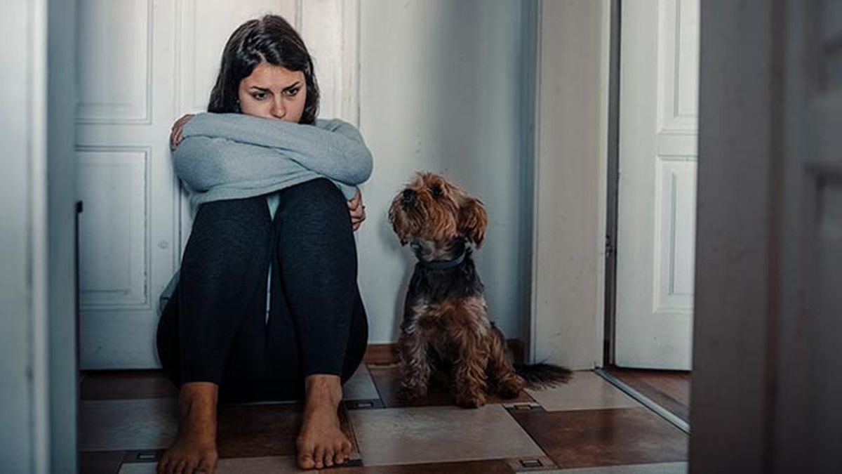 perros tristes por duelo 1