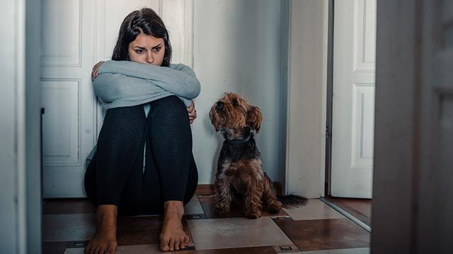 perros tristes por duelo 1