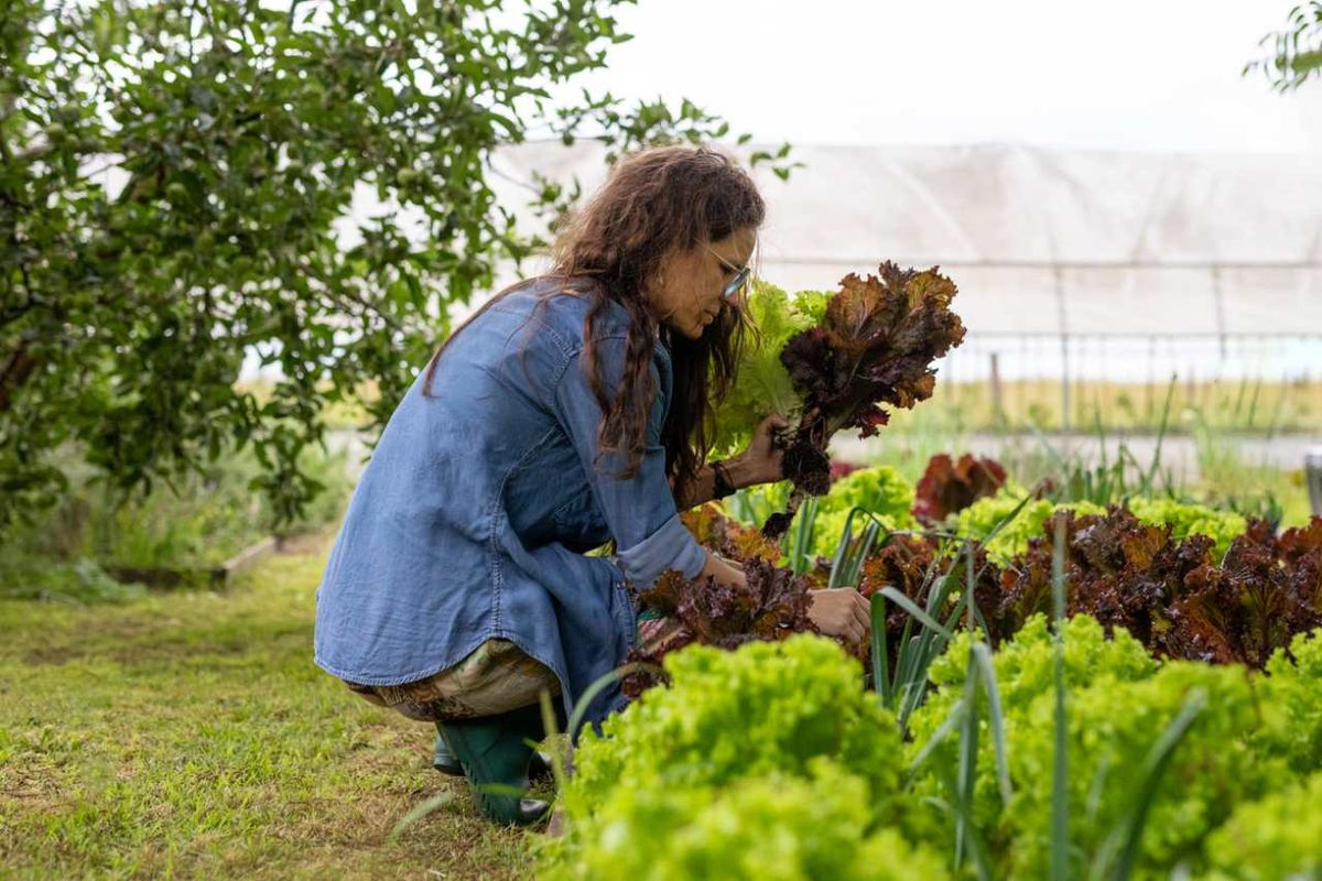 La agricultura sostenible es clave para el presente y futuro de nuestro cultivos.