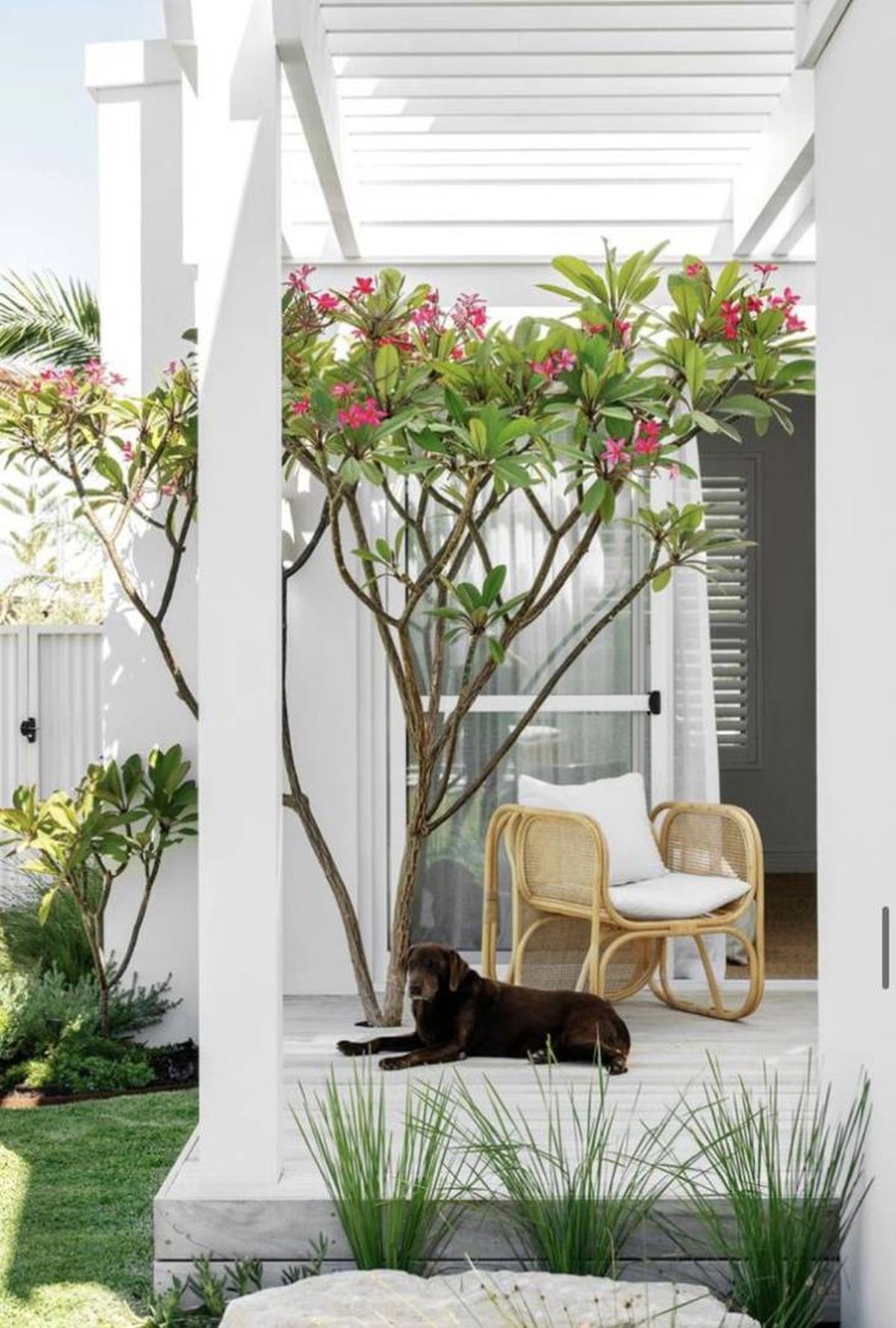 jardin cesped artificial cesped animales pinterest