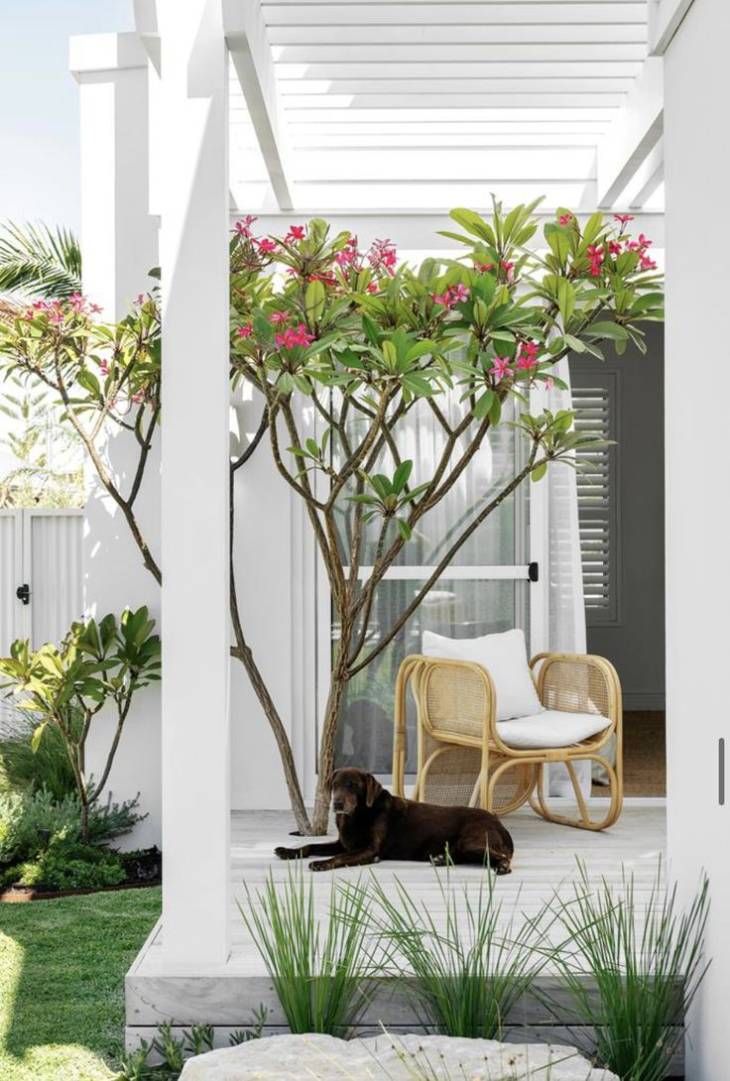 jardin cesped artificial cesped animales pinterest