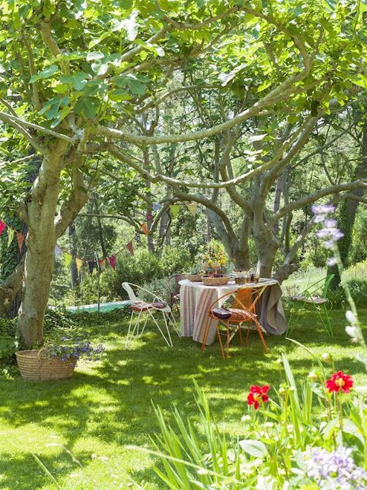 jardin primavera verano 4