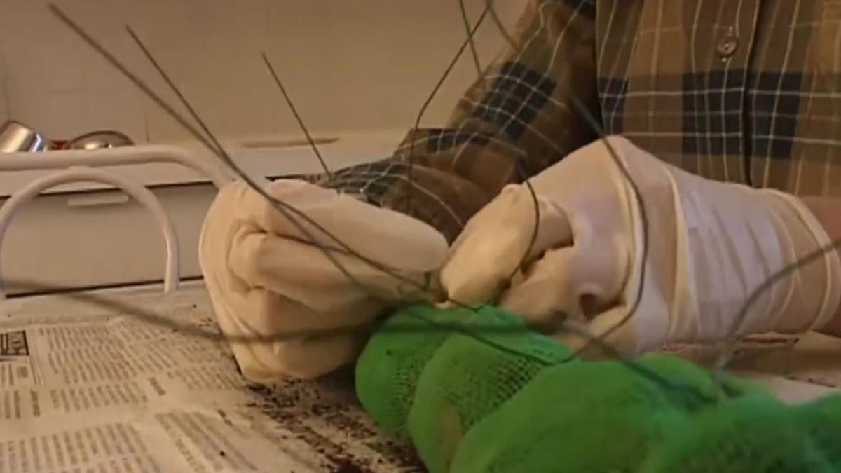 brico 031 construir tutor guia para las plantas paso 6