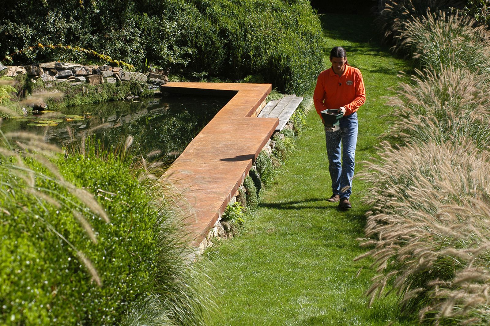 resembrar las zonas danadas del cesped xl