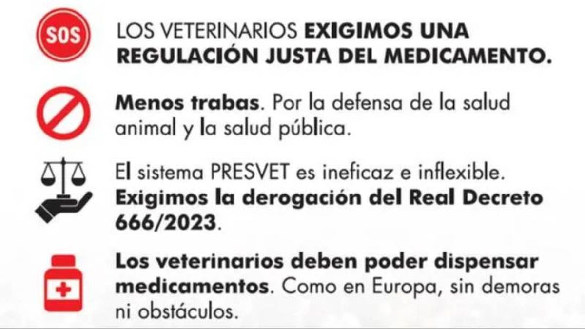 Estas restricciones han llevado a los veterinarios a organizarse.