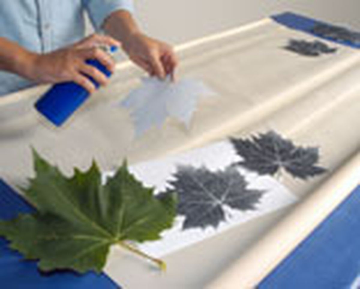 313 personalizar estor p08