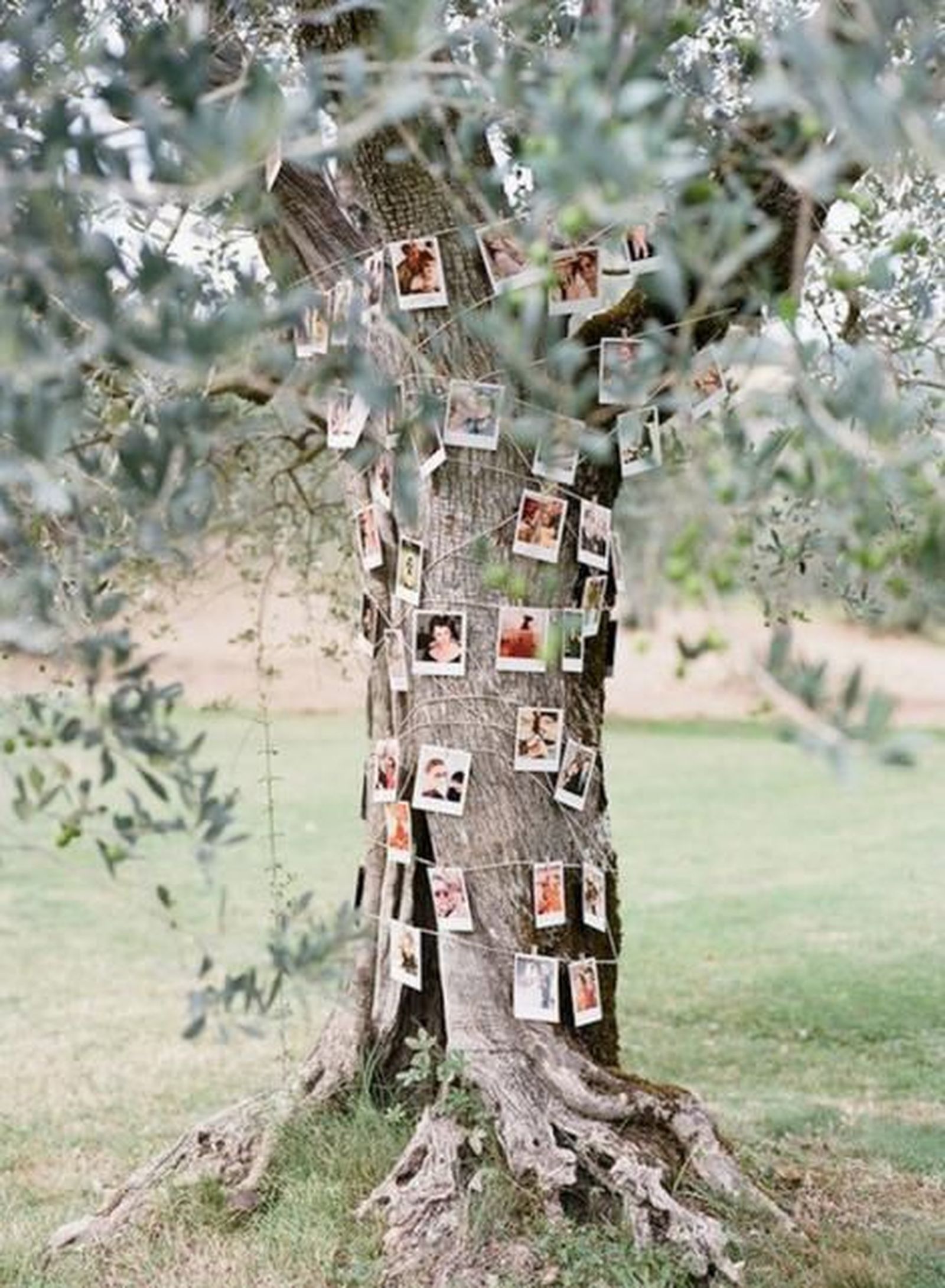arbol fotos boda aire libre pinterest marie claire