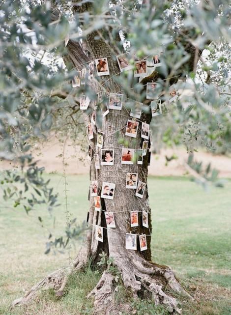 arbol fotos boda aire libre pinterest marie claire