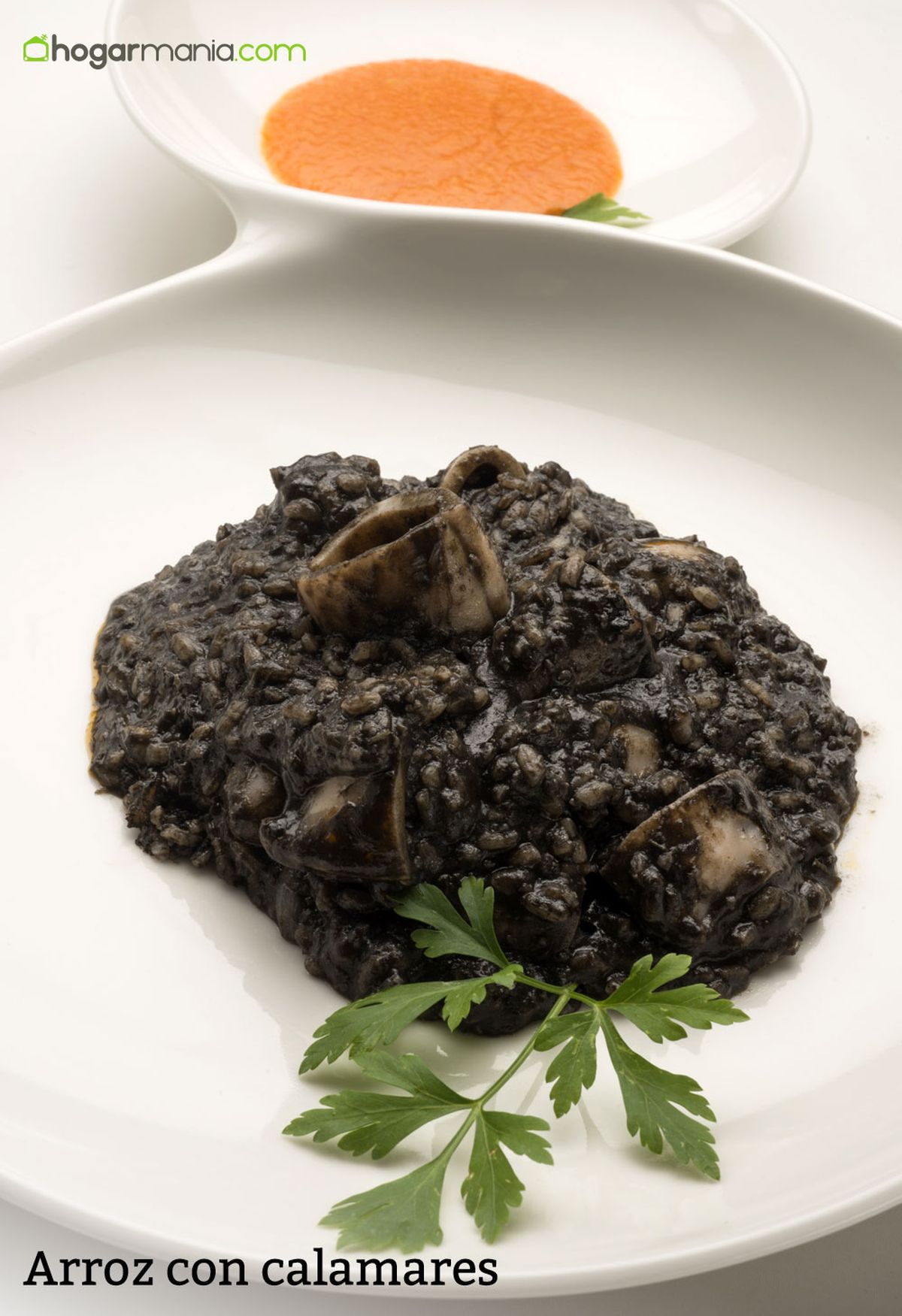 6076 1 Arroz con calamares vertical xl