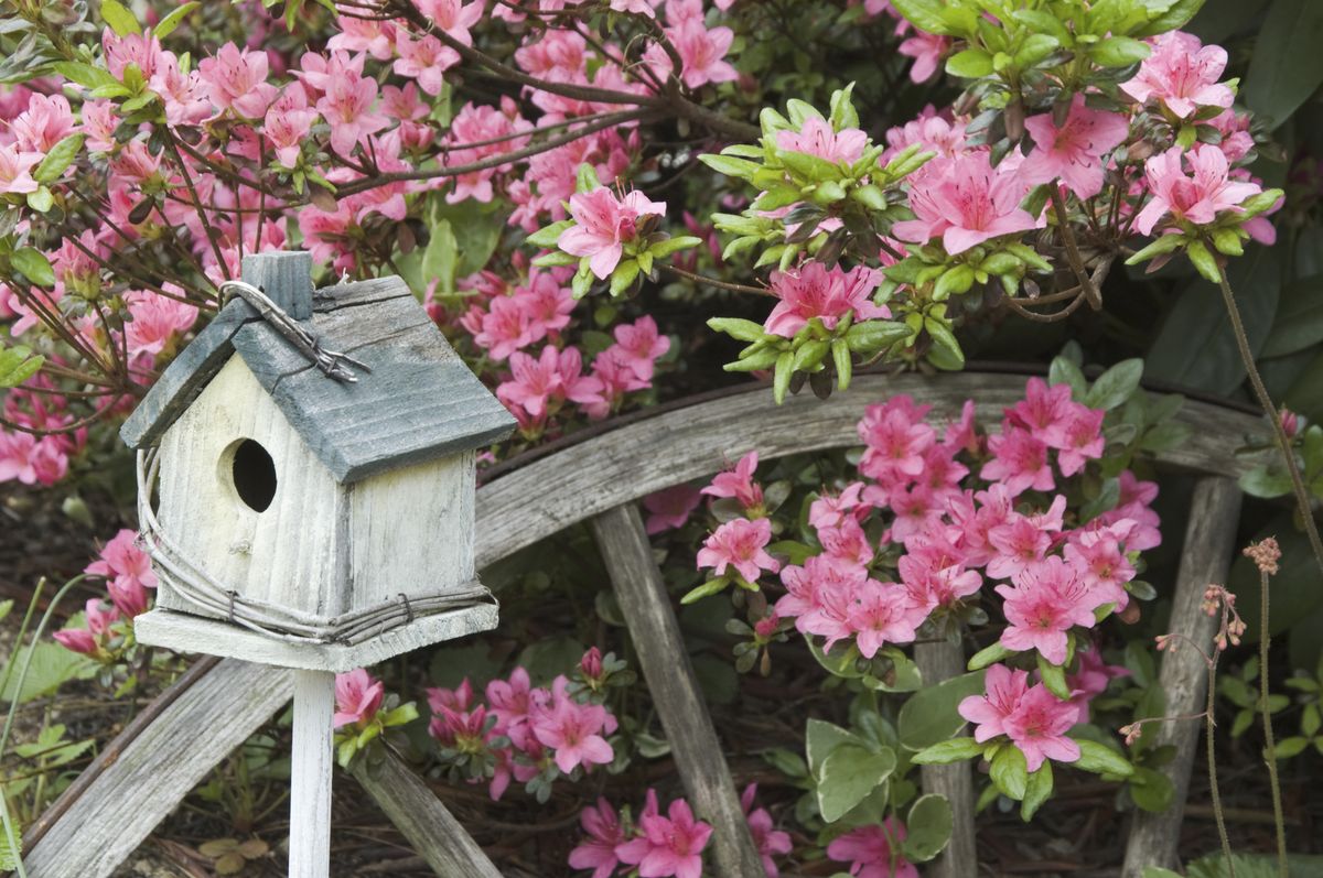 Casitas de pájaros para decorar el jardín