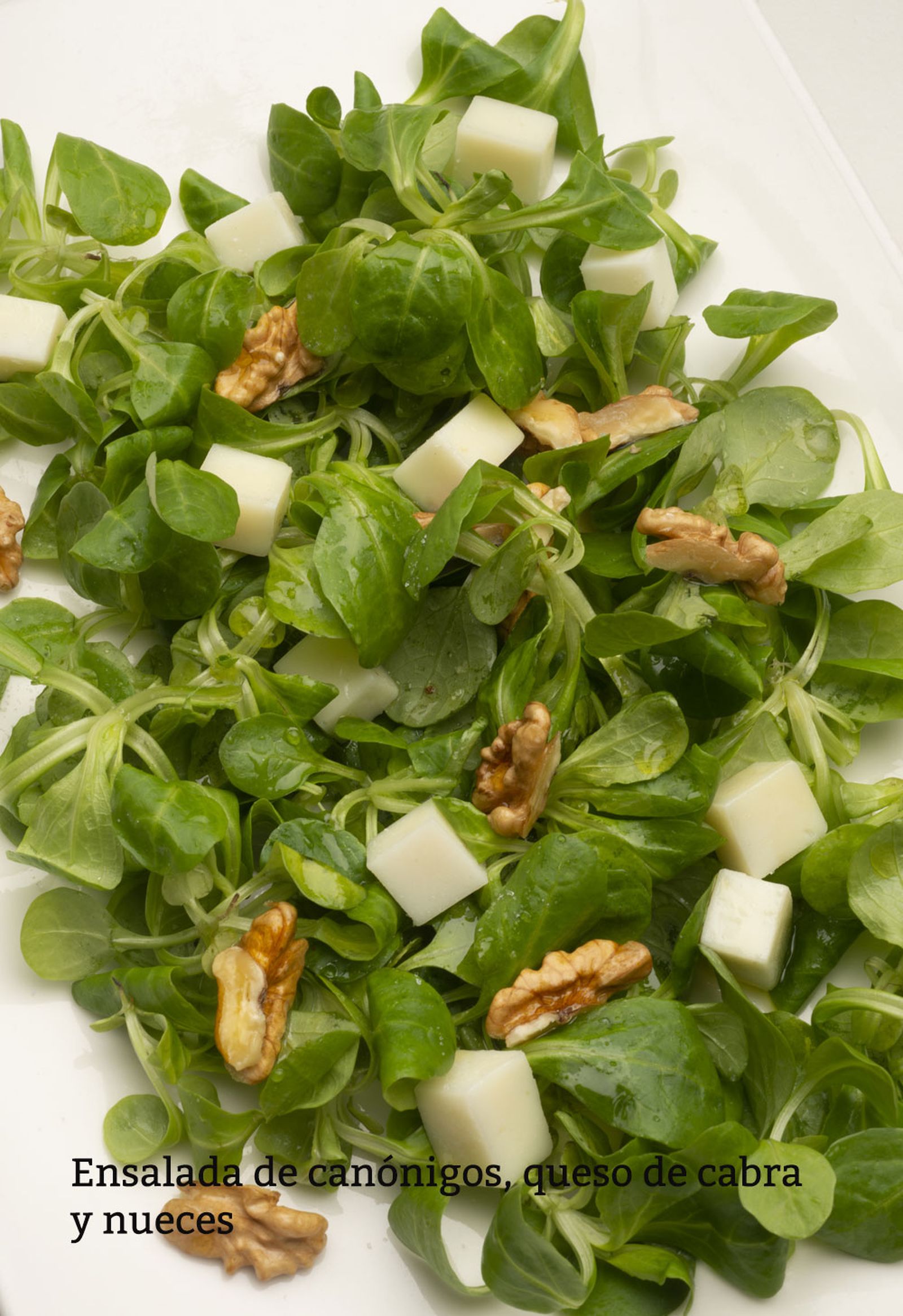 ensalada canonigos vertical