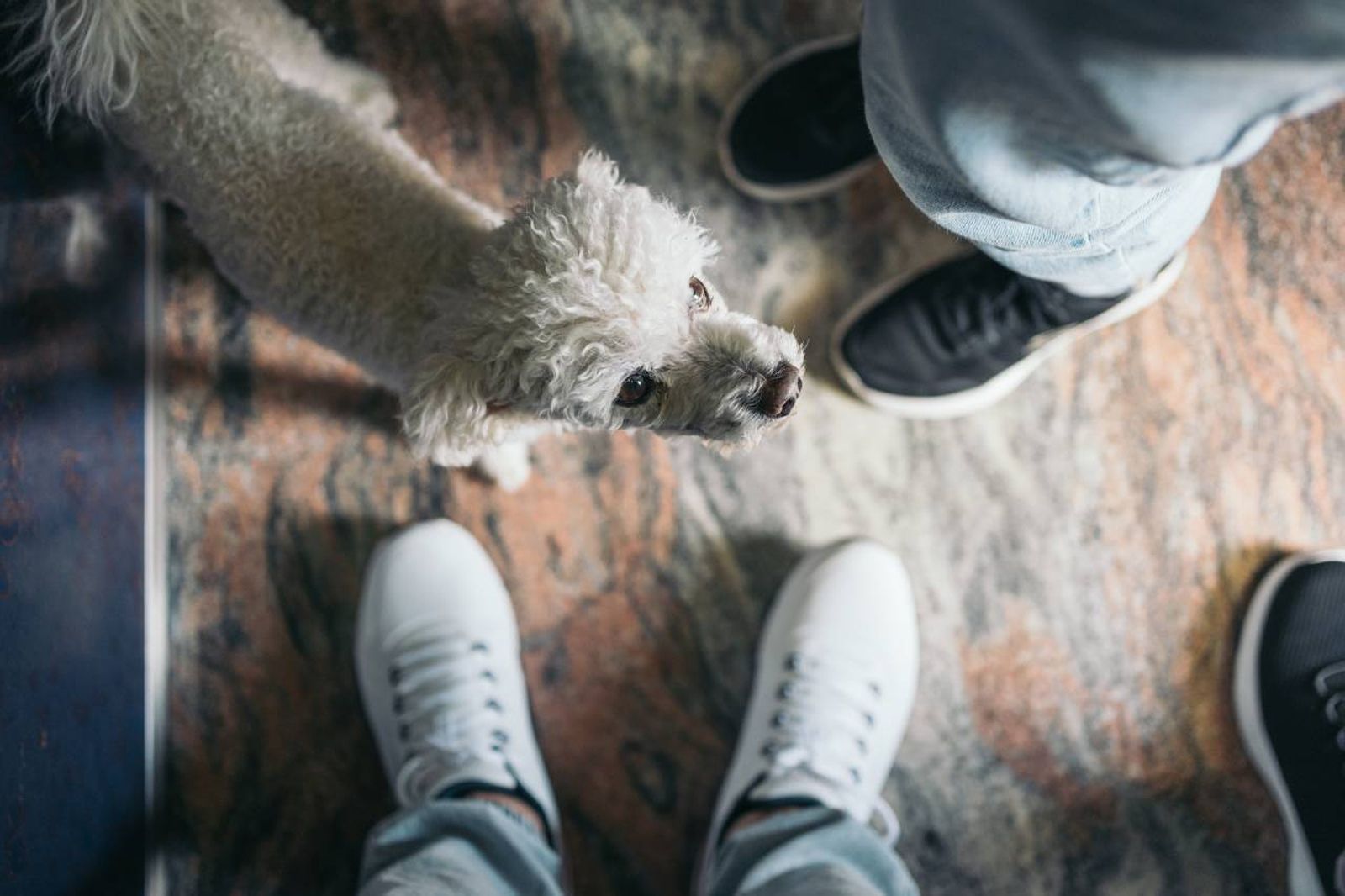 No compartir el ascensor con otros vecinos si estos lo solicitan.