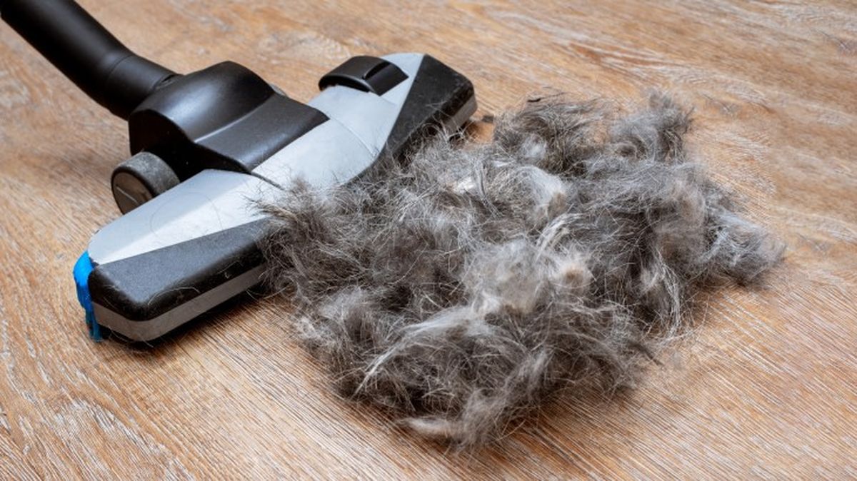 kit de limpieza para mascotas amazon 5