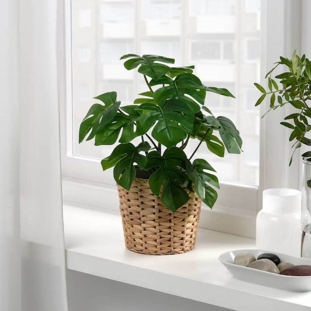 planta artificial ikea costilla adan