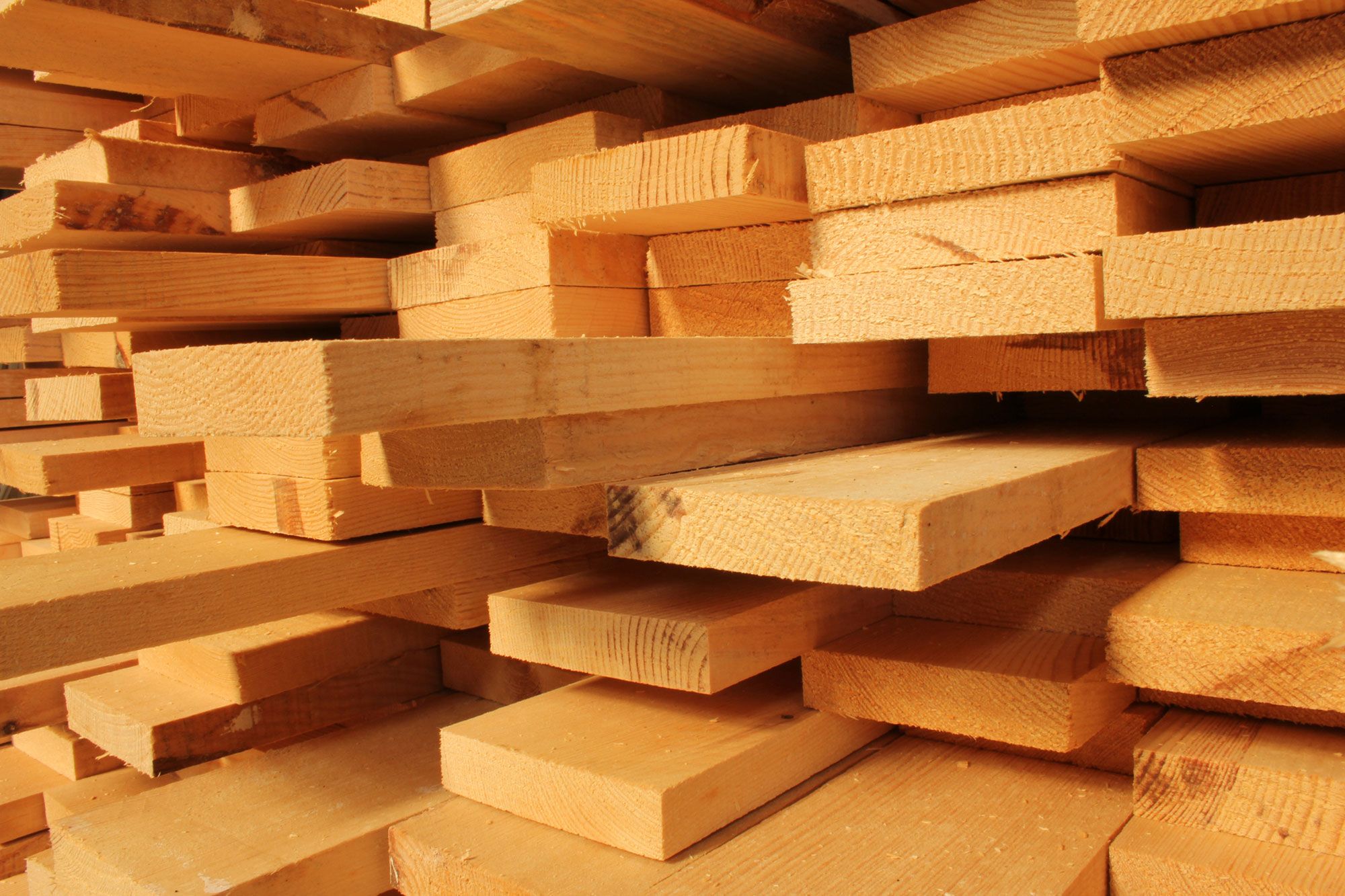 Madera de pino blanco 2