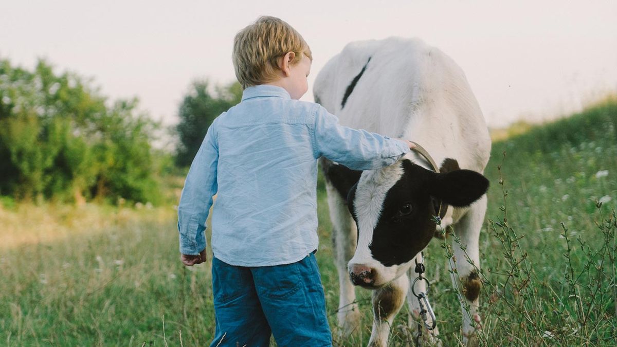 animales reducir asma ninos 2
