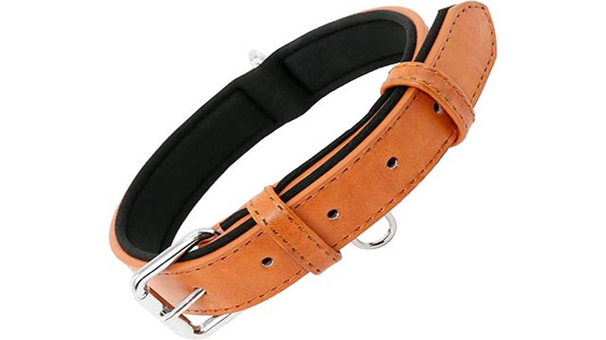 collar de cuero estandar
