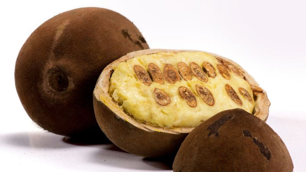 Copoazú