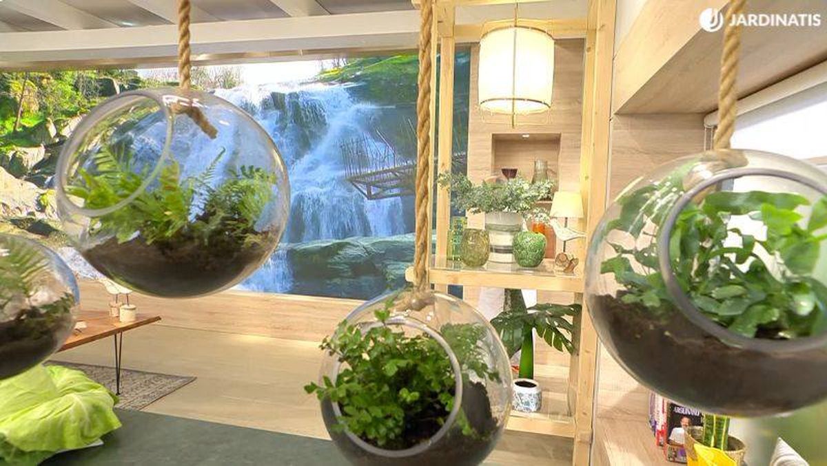 Esta idea con helechos es ideal para recrearla en el hogar.