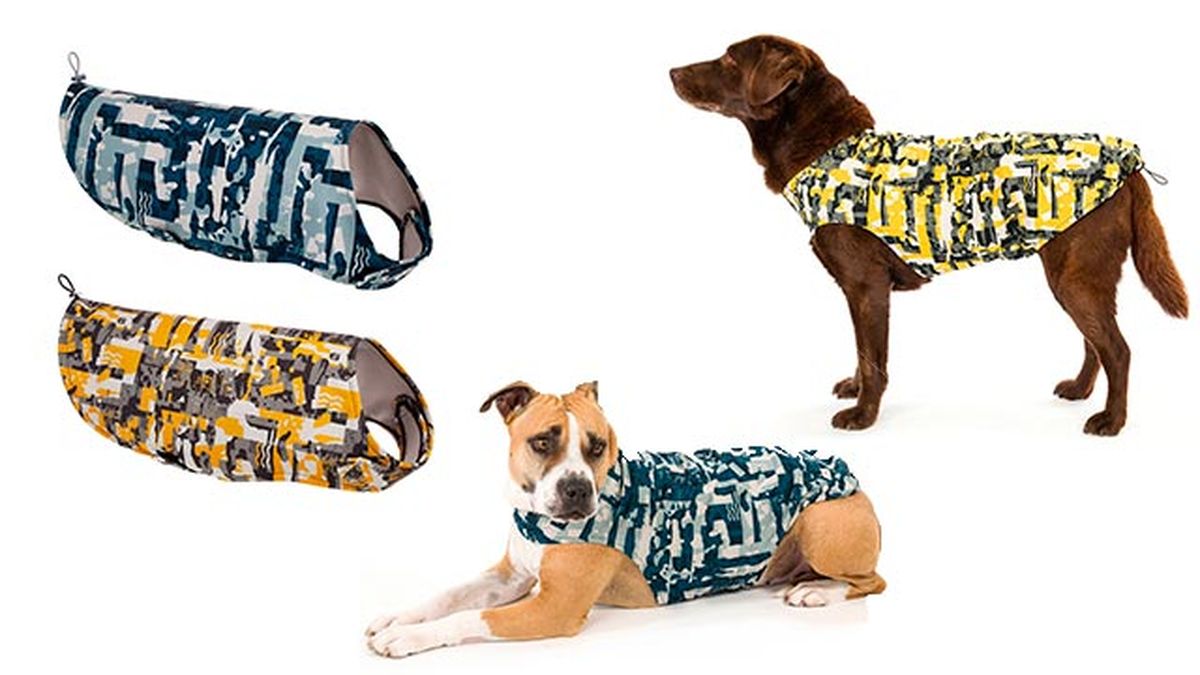 cuidados consejos proteger perro lluvia chubasqueros gobak