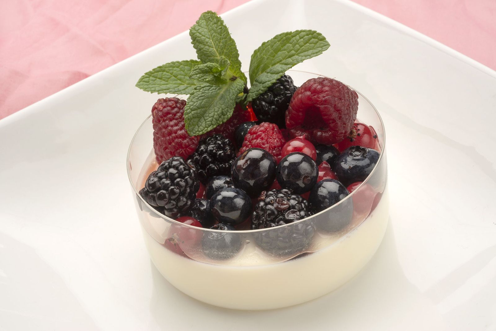 HCTU0347 2 Panacotta con frutas al ron xl