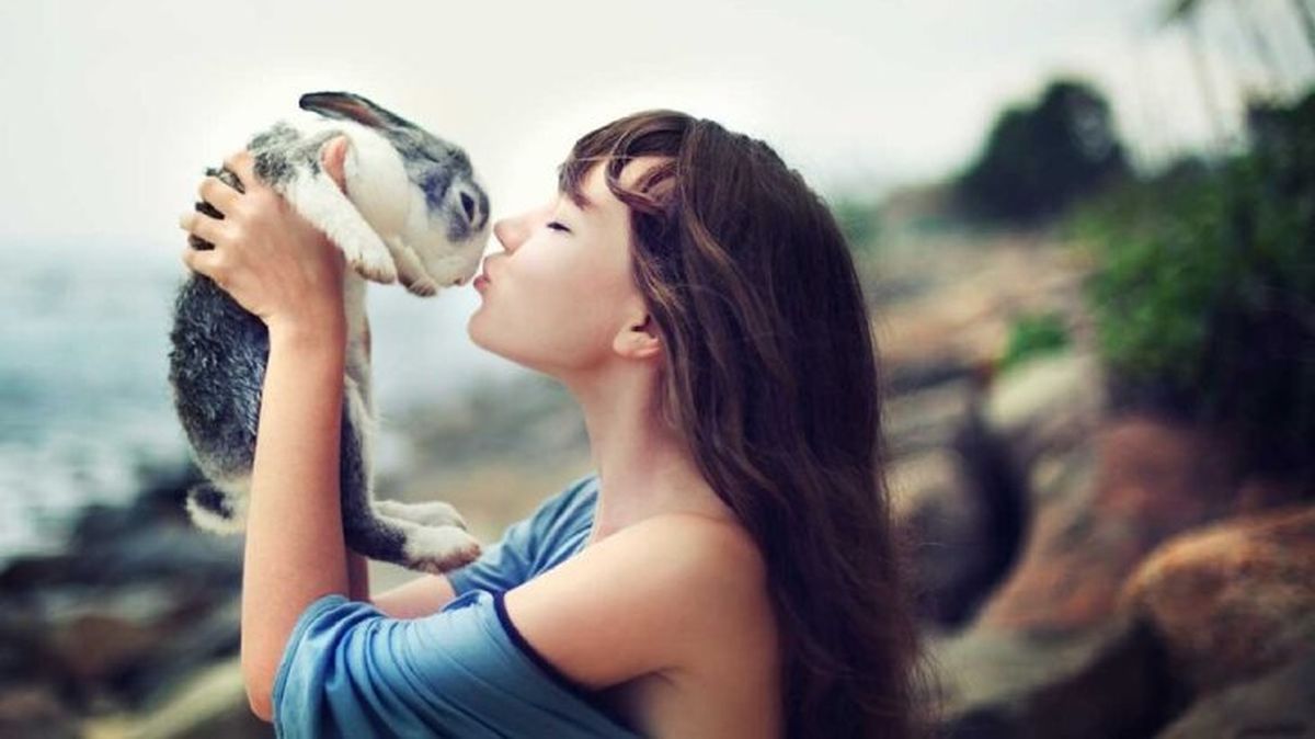 dni de las mascotas 2