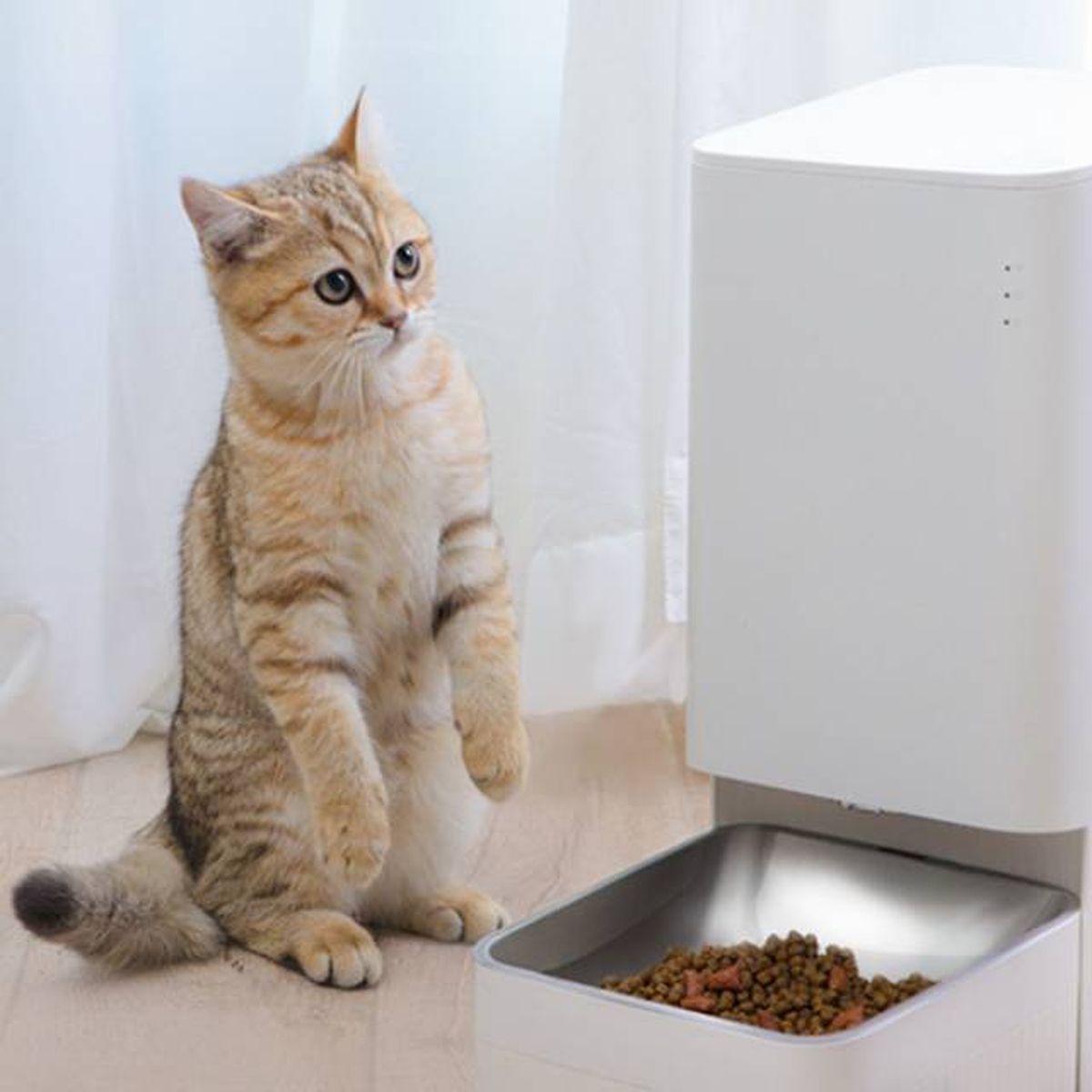 Xiaomi Smart Pet Food Feeder comedero automatico para mascotas