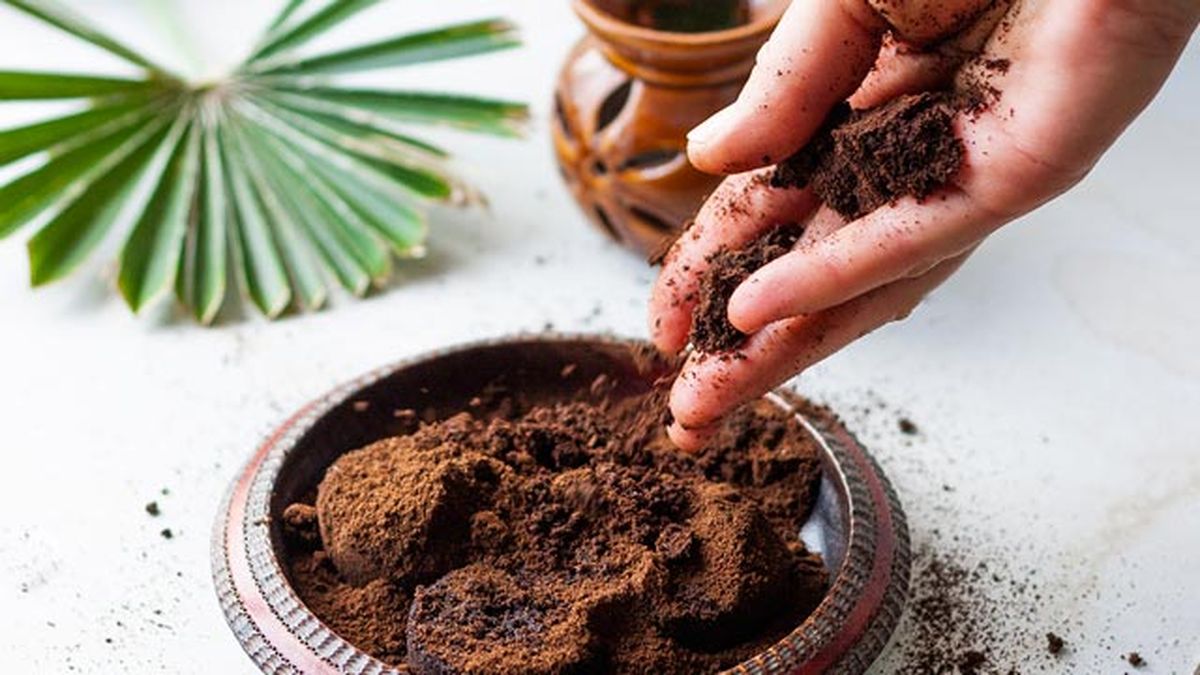 como reutilizar los restos posos de cafe abono natural