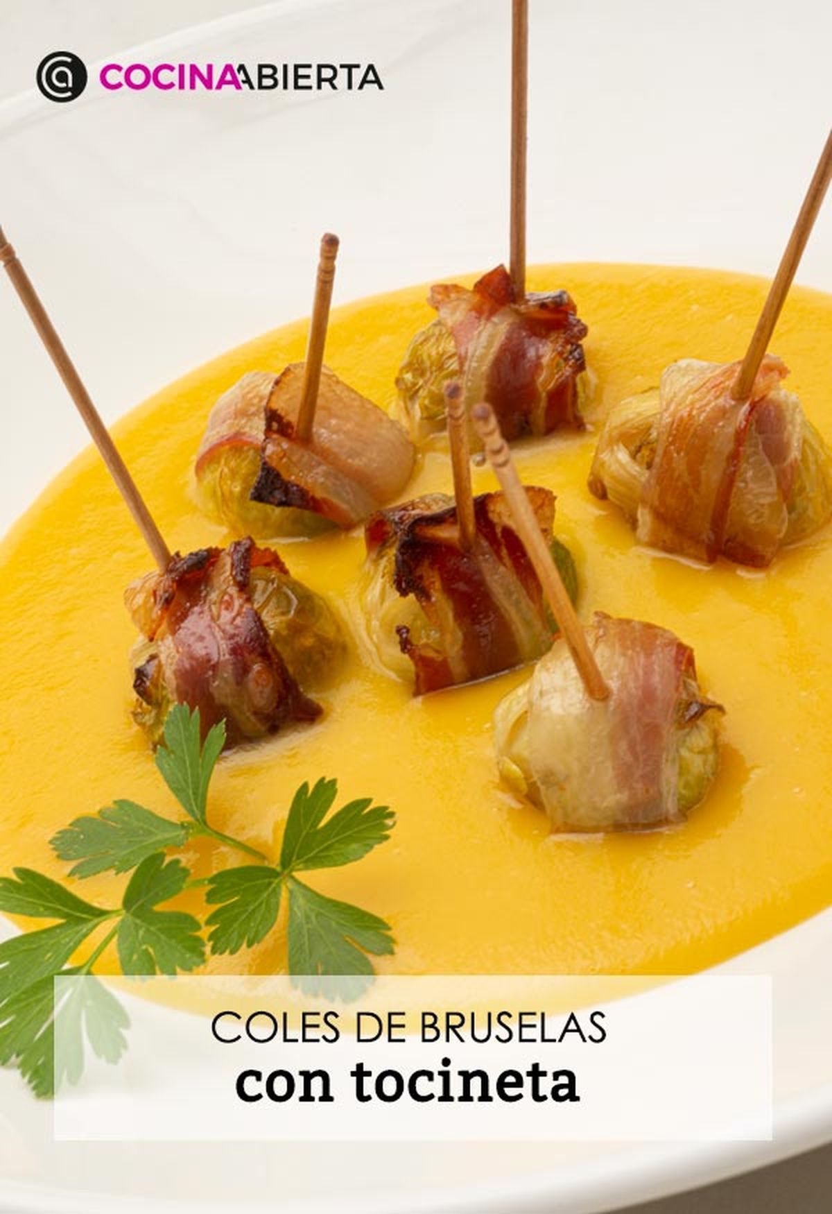 karl6700 coles tocineta v