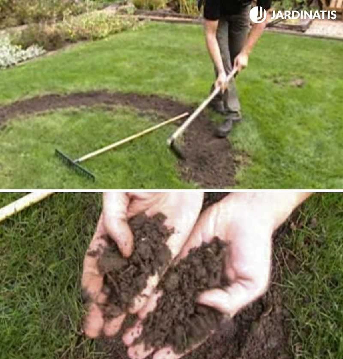 Prepara el terrero previamente a la siembra