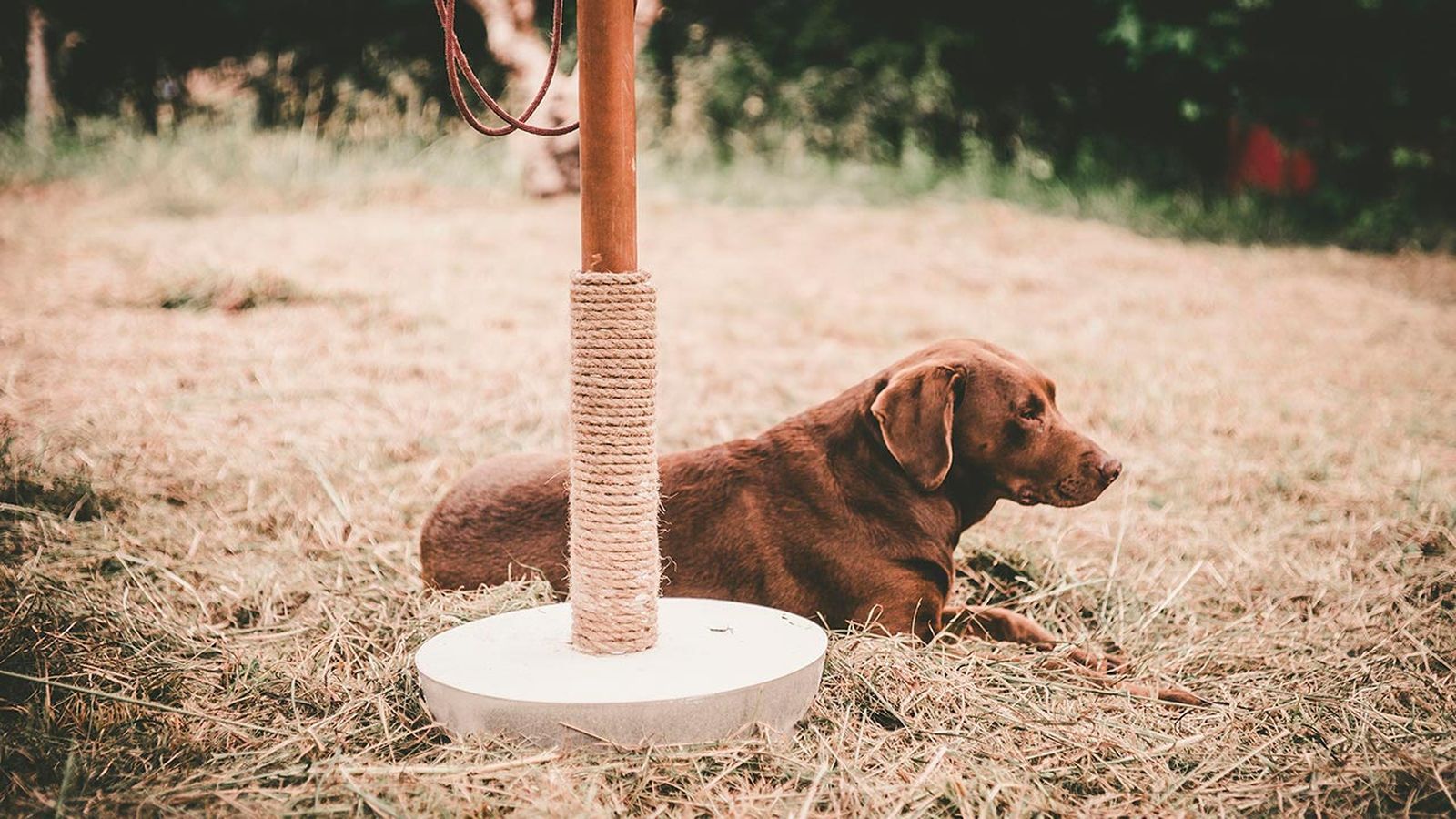 Como hacer una base de hormigon para sombrilla de jardin