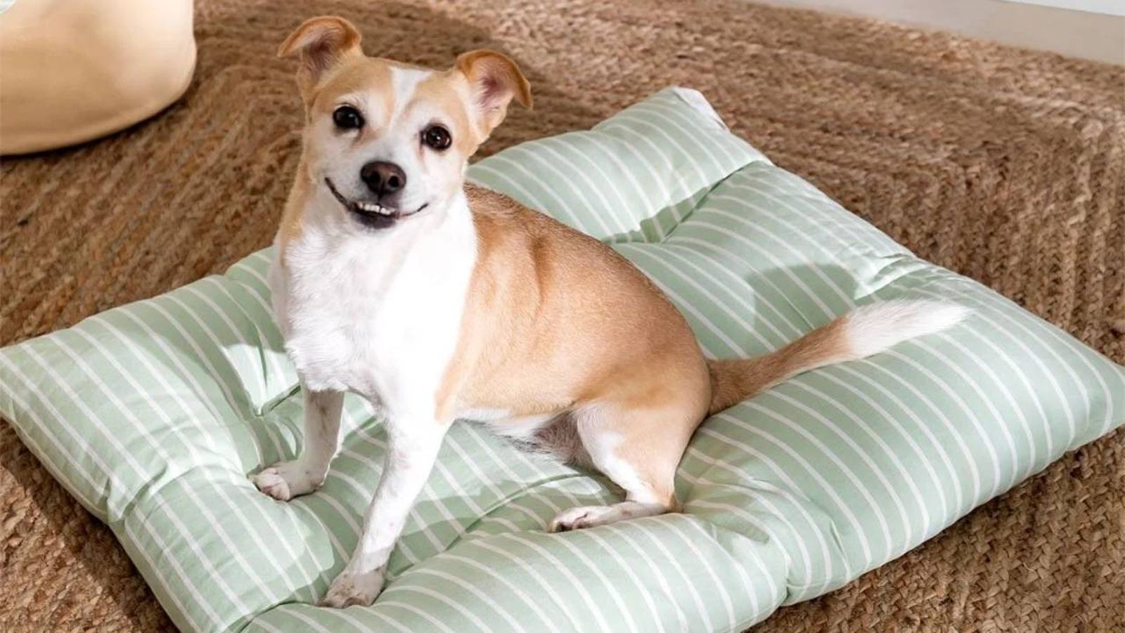 camitas mascotas sklum