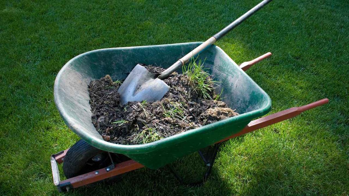 El mulch tiene muchos beneficios para las plantas