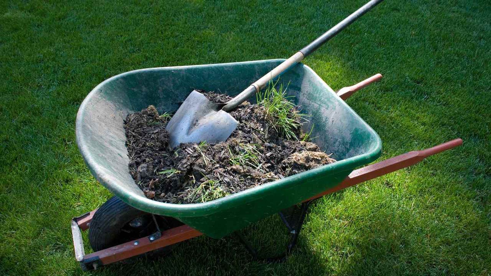 El mulch tiene muchos beneficios para las plantas