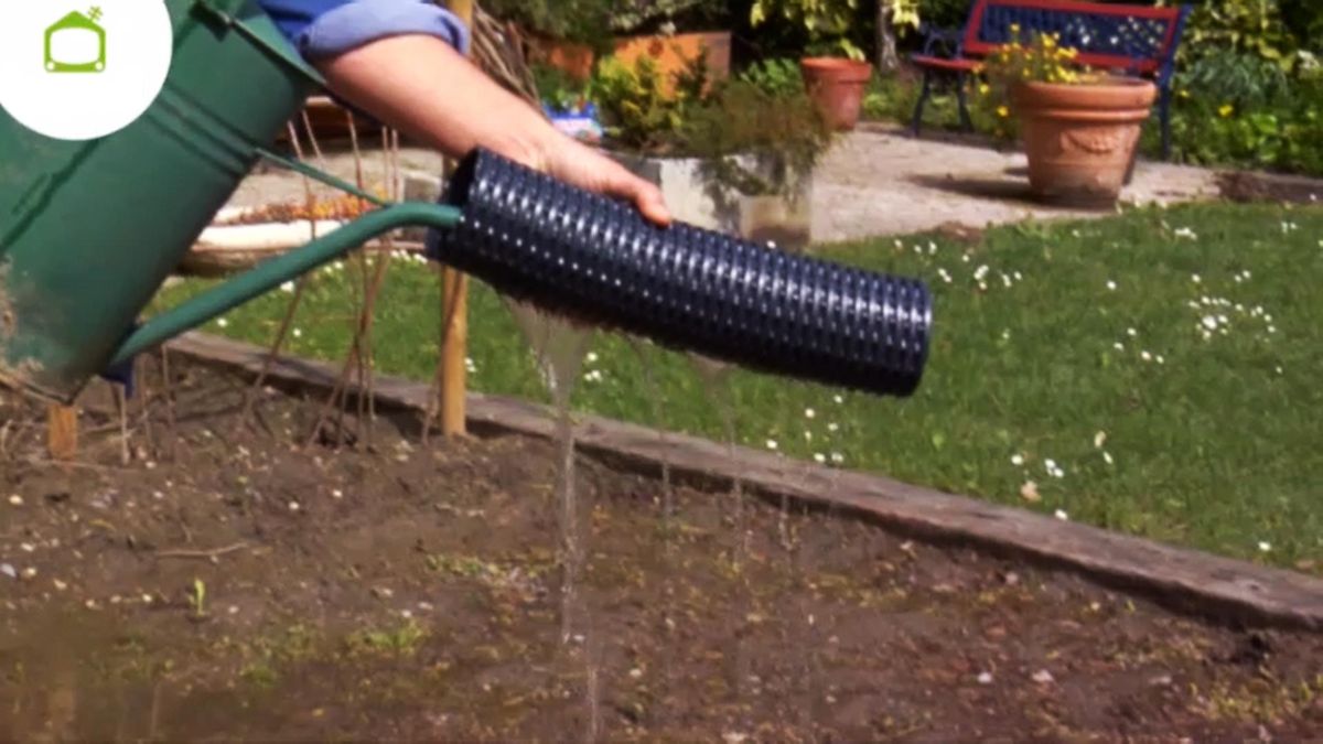 BRICO_JARDIN_789_Instalar drenaje en el jardin funcionamiento