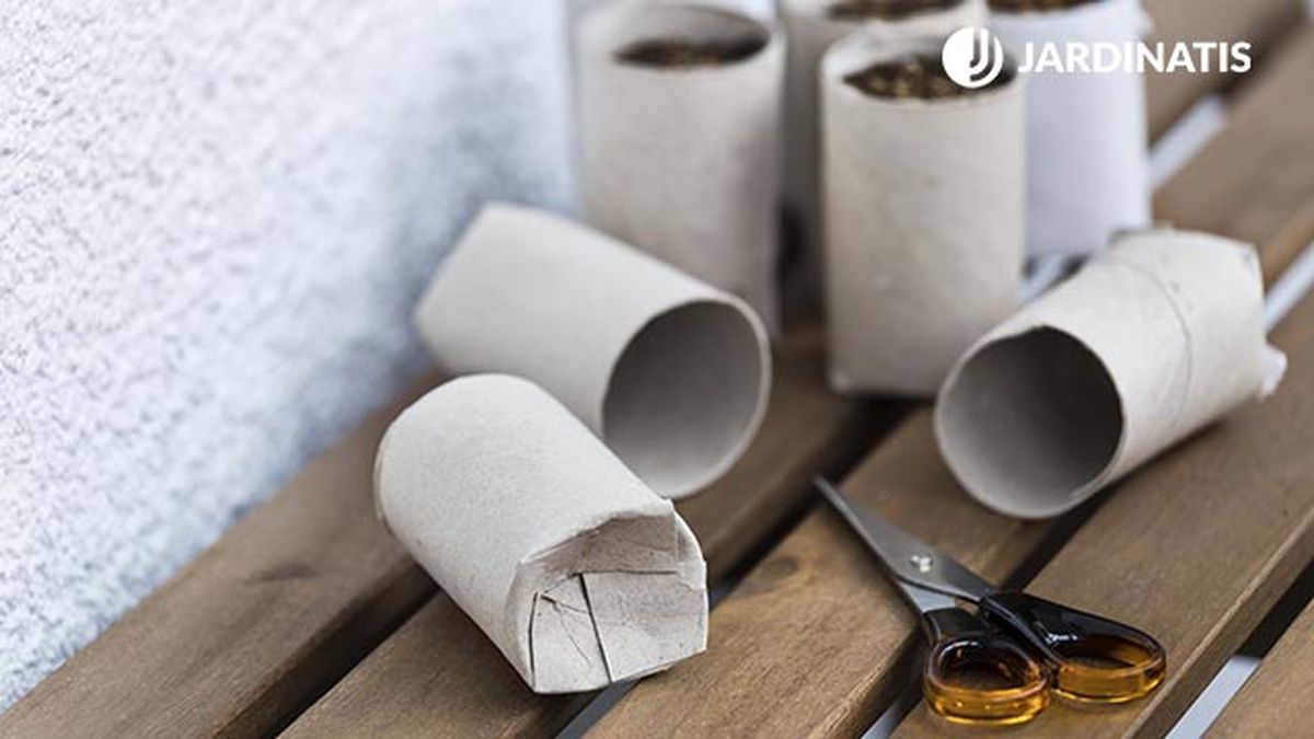 semillero carton reciclado 02