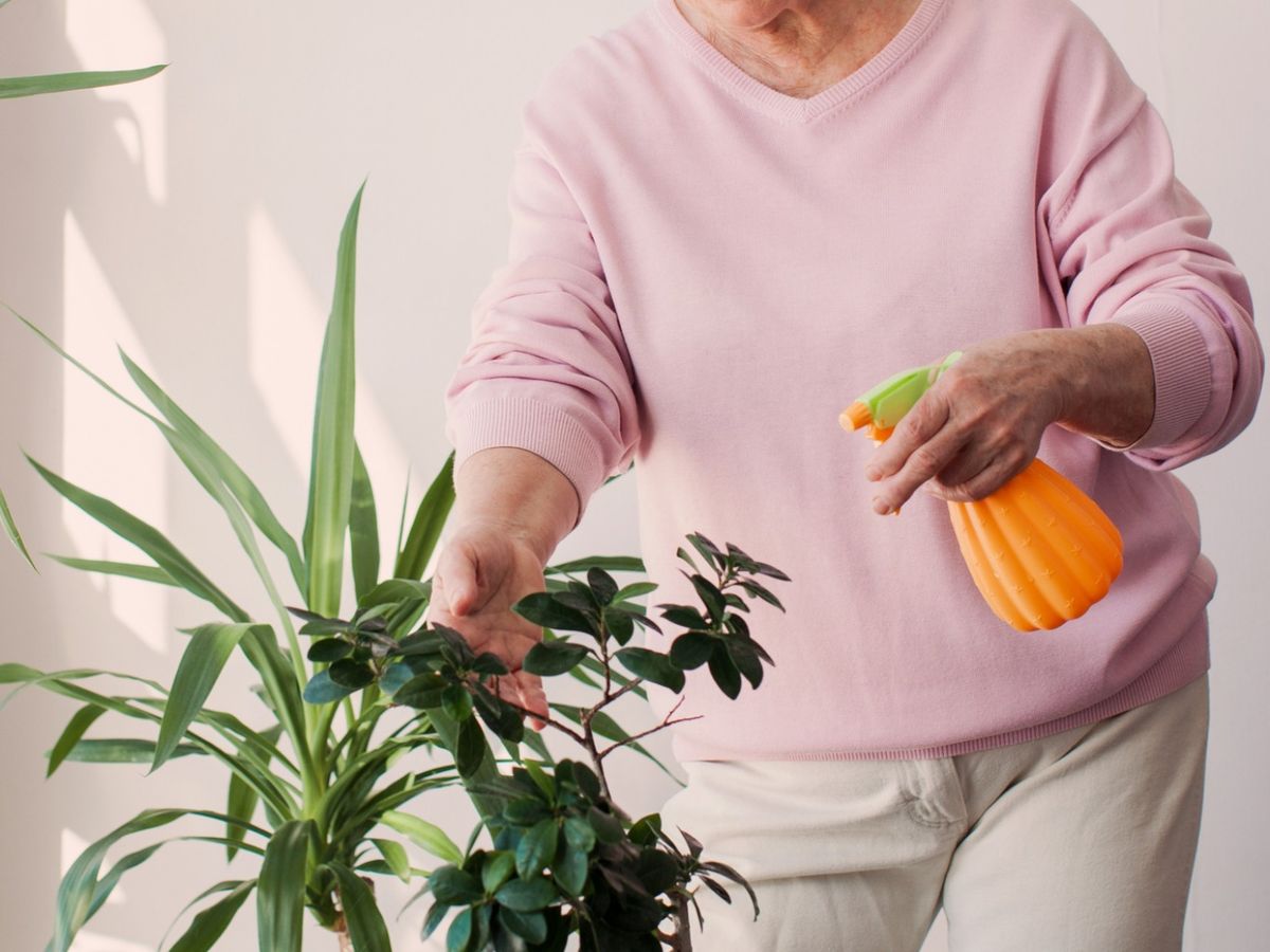 Nunca elijas detergentes con fragancias fuertes o químicos agresivos.
