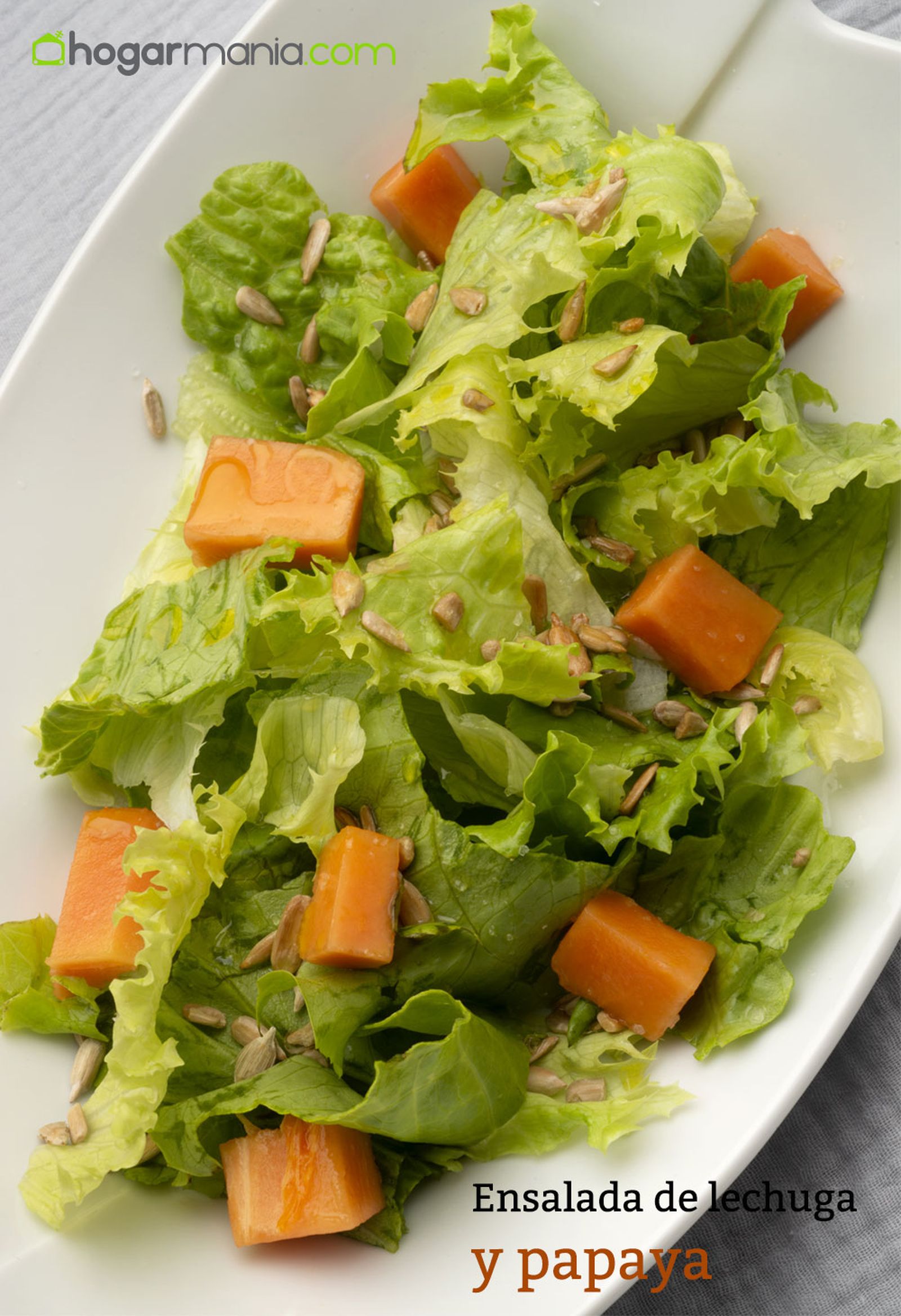 6170 Ensalada lechuga papaya vertical
