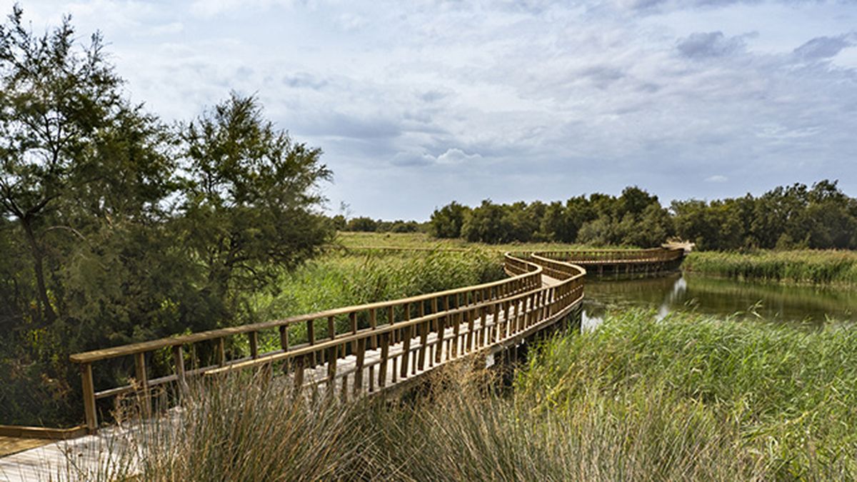 parque nacional de las tablas de daimiel