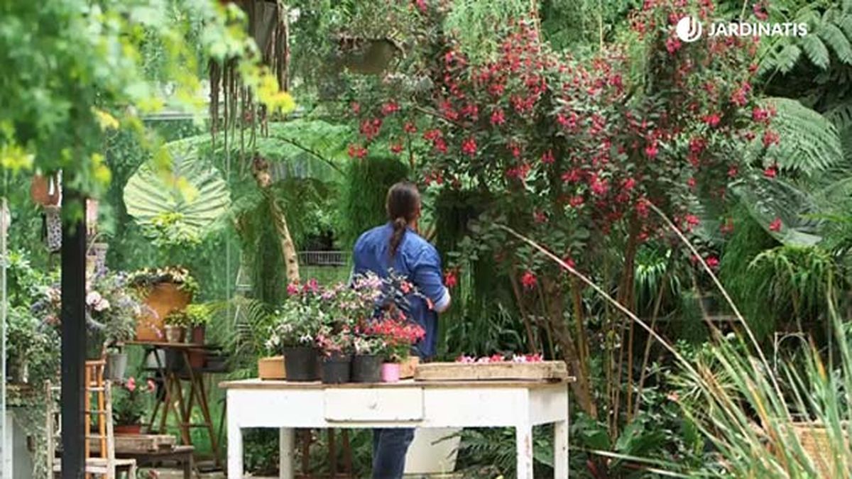 pendientes de la reina gran tamano brico 0958