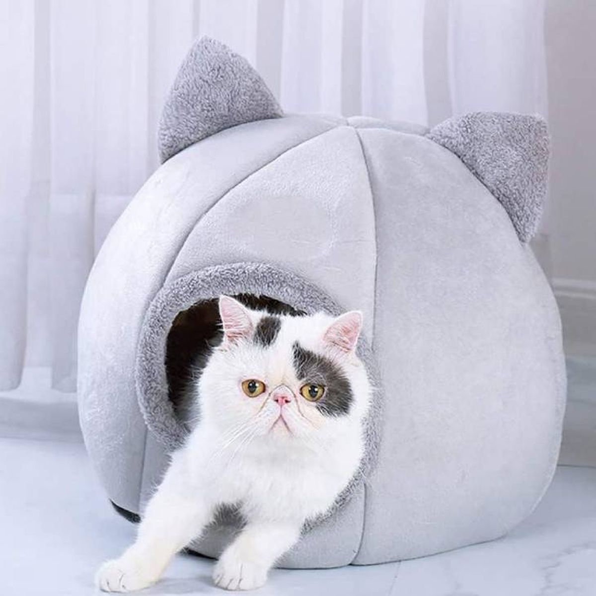 cama orejitas gato amazon