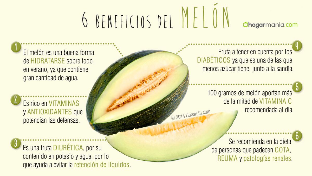 infografia melon