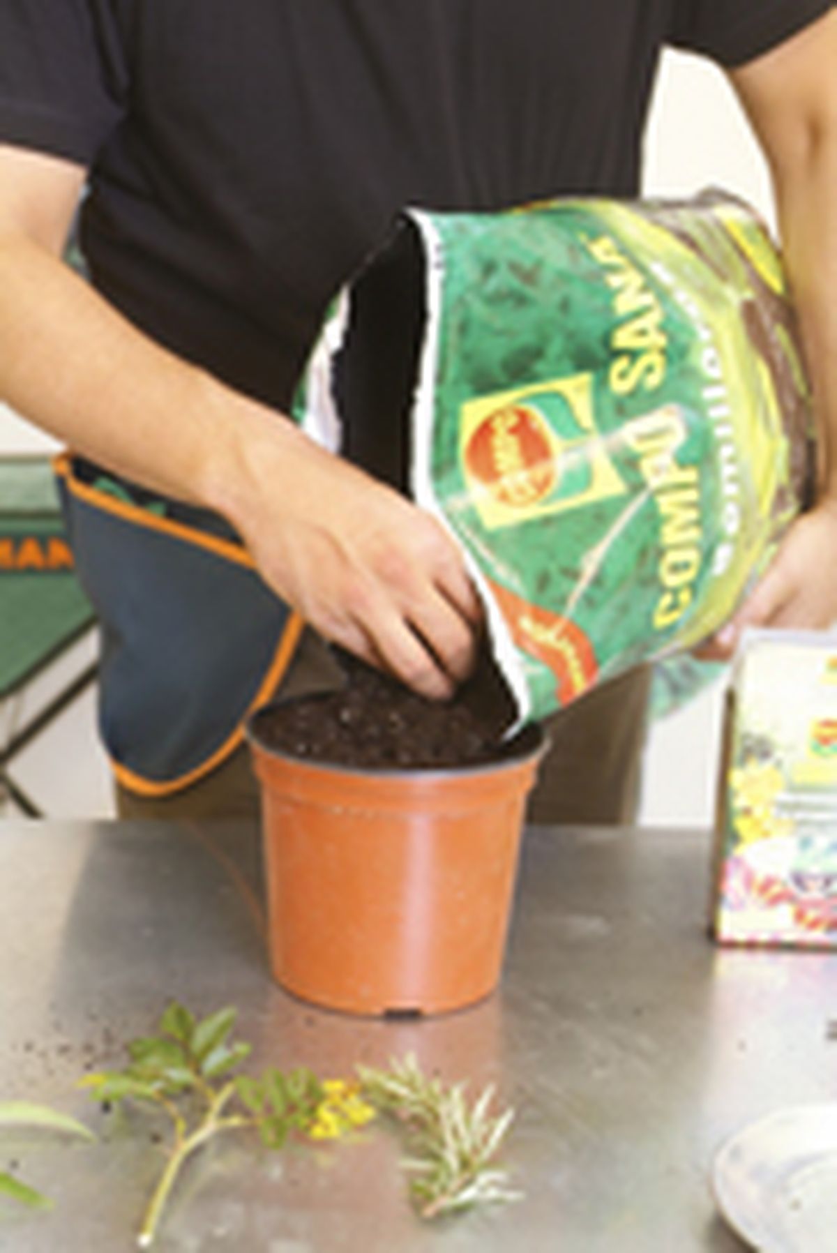 Esquejes o gajos para reproducir plantas paso 2