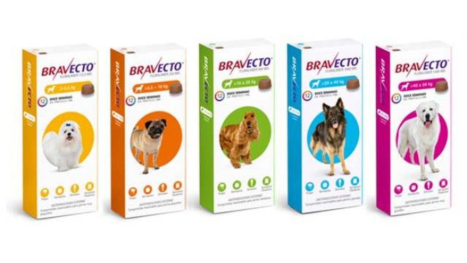 desparasitacion externa perros comprimidos masticables bravecto uso veterinario por peso