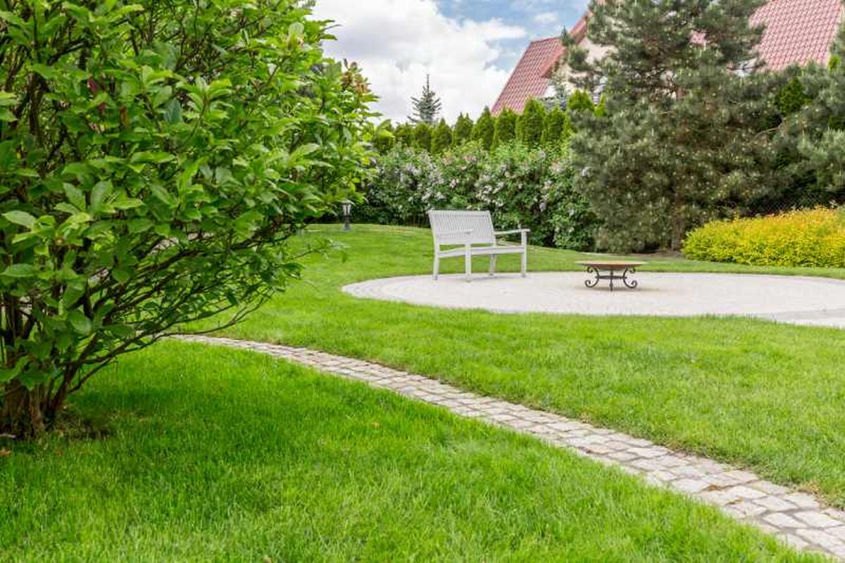 Separa zonas del jardín plantando grupos diferenciados de plantas.