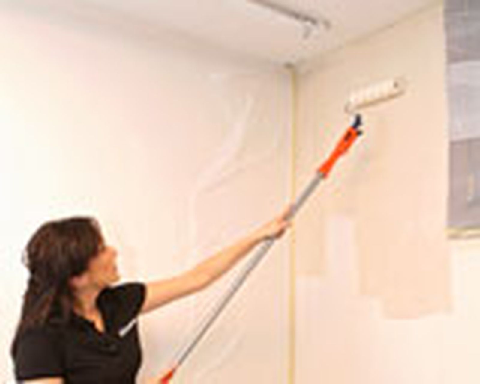 505 Pintar pared de garaje p4