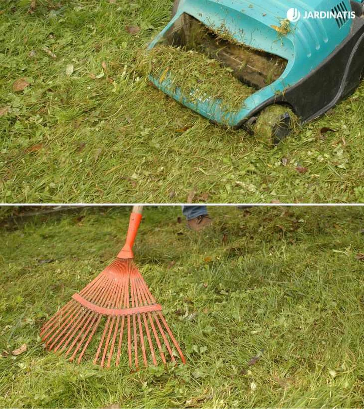 Preparando el terreno para recebar